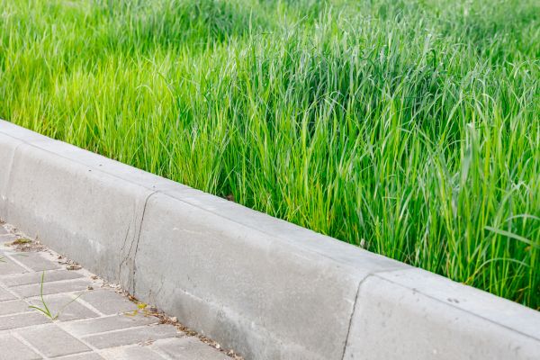 Cost of Concrete Curb Repair in Milford